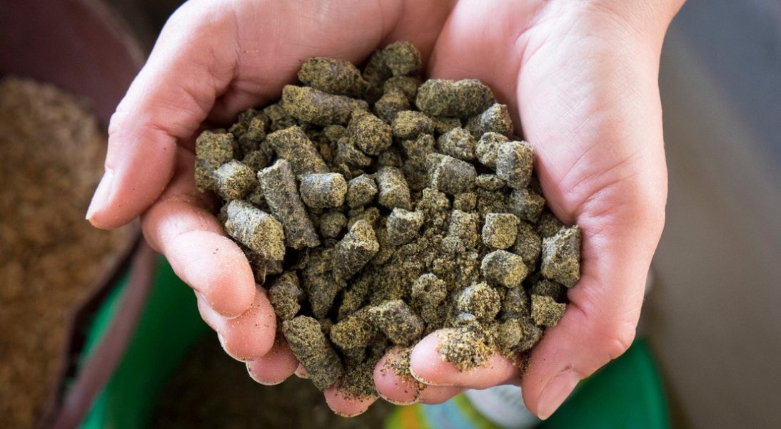 Alimentation animale