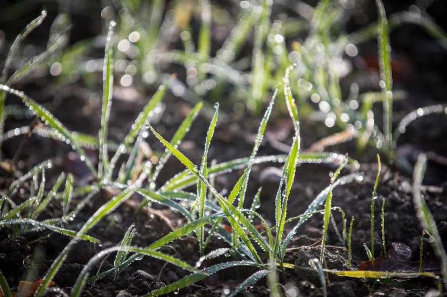 Certification environnementale : les organismes certificateurs agréés par le ministère de l'Agriculture et la procédure de demande d'agrément