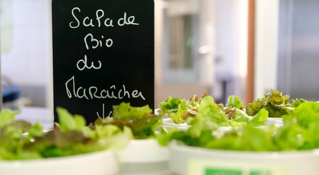 Marchés publics pour la restauration collective : deux guides pratiques pour un approvisionnement durable et de qualité