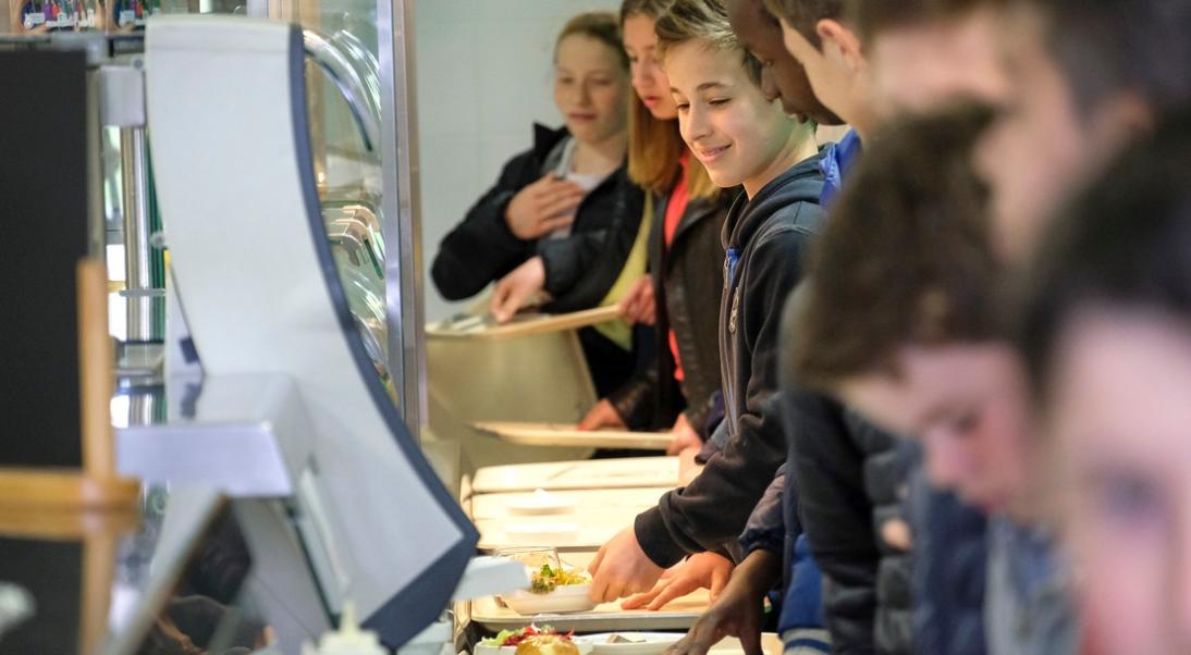ma cantine, la plateforme numérique de l'État dédiée aux gestionnaires de cantine