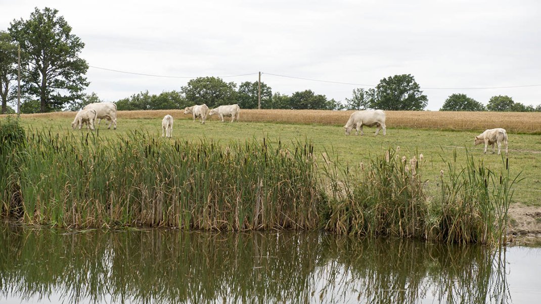 Axe 3 - Protéger les captages pour réduire les risques pour la santé et l'environnement