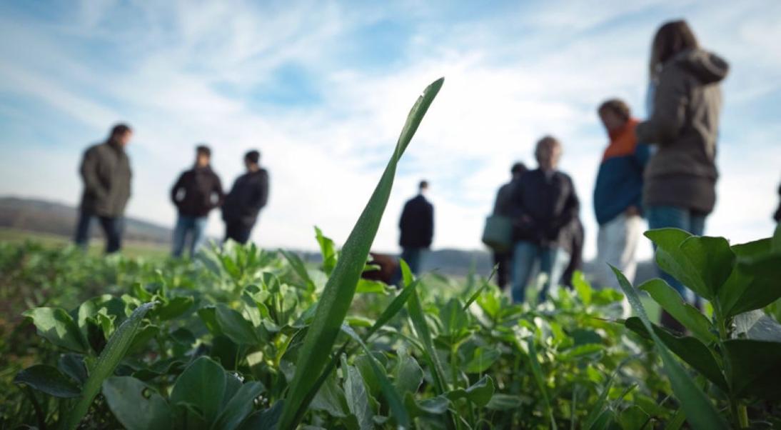 Avec RÉGAL, les régions se mobilisent contre le gaspillage alimentaire image