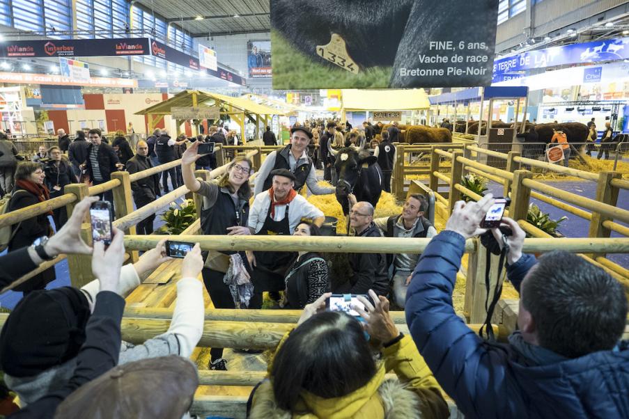 Comment Est Choisie La Vache égérie Du Salon International De Lagriculture Ministère De L 