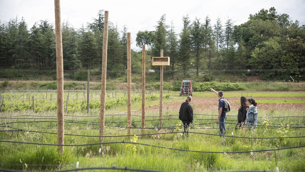 Axe 4 - Recherche, innovation et formation