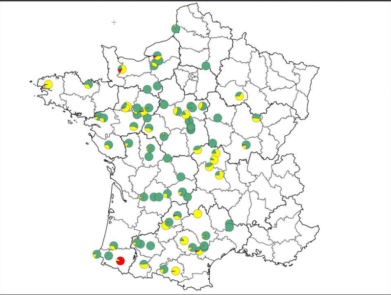 Maladie Des Bandes Rouges, Le Point 2017 | Ministère De L'Agriculture ...