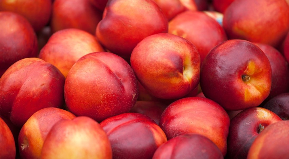 Pêches et nectarines