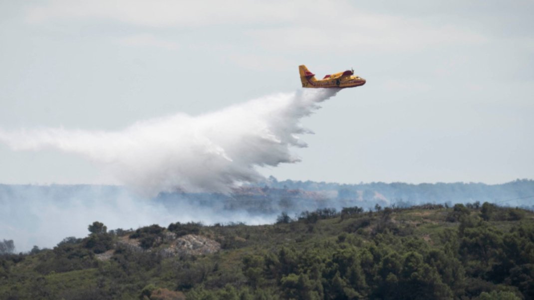 The Vulnerability of Forests to Natural Disturbances
