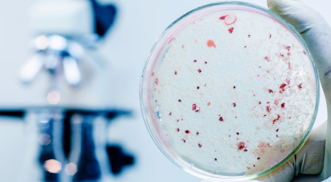 Laboratoires officiels Rage