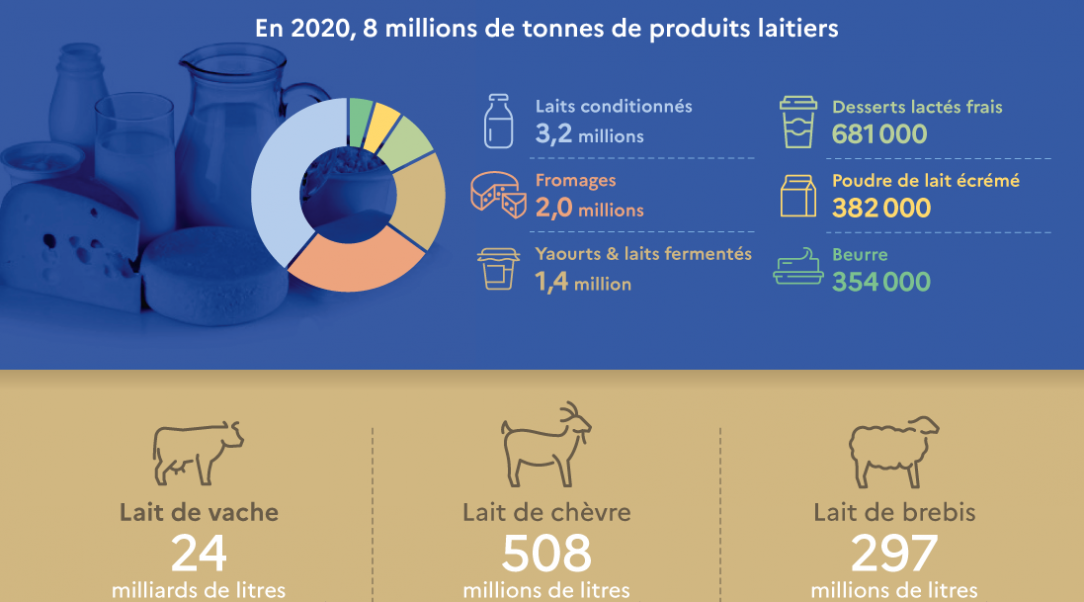 Infographie Production Et Consommation De Lait Et Produits Laitiers Ministère De L