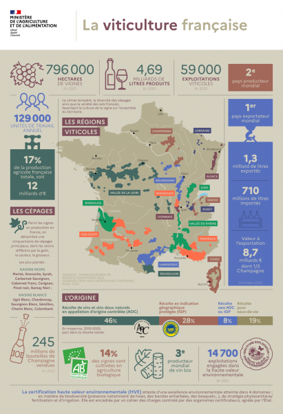 Infographie - La Viticulture Française | Ministère De L'Agriculture Et ...