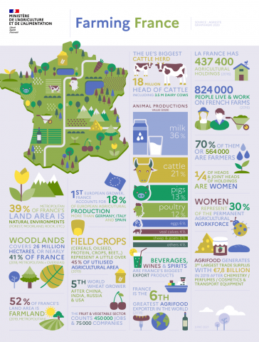 Infographics farming France