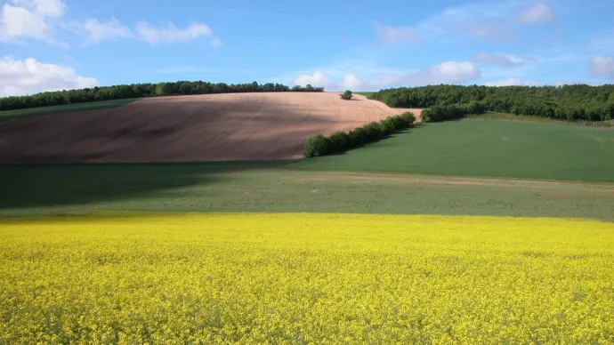 Paysage agricole