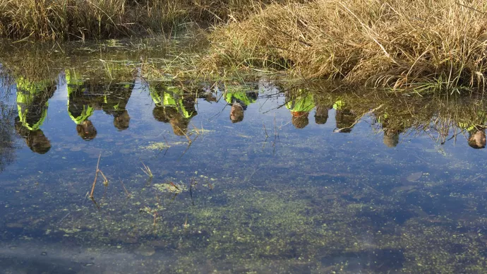 Reflet d'élèves dans une mare