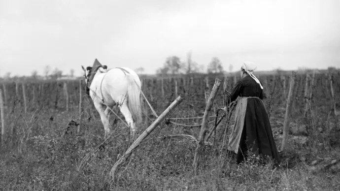 Crédit ci-après