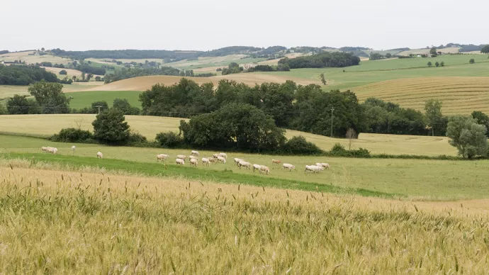 Paysage agricole