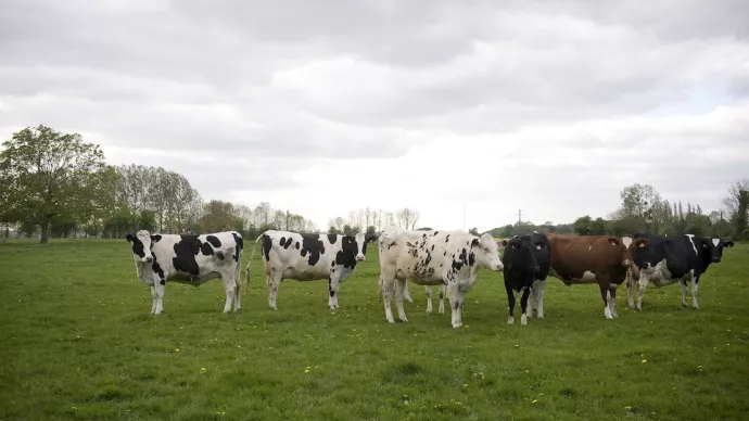 Crédit ci-après