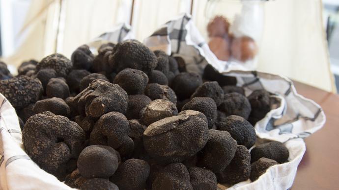 La truffe noire dite du Périgord  Ministère de l'Agriculture et de la  Souveraineté alimentaire