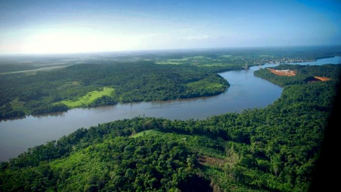 La Guyane, une région agricole tropicale et florissante  Ministère de  l'Agriculture et de la Souveraineté alimentaire