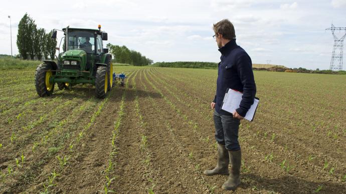 Technicien agricole observant un champ