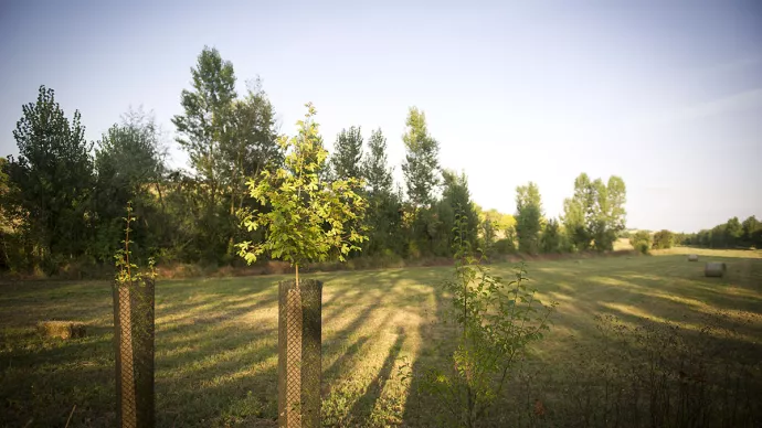 Agroforesterie