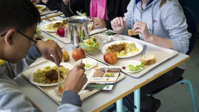 alimentation dans les cantines scolaires