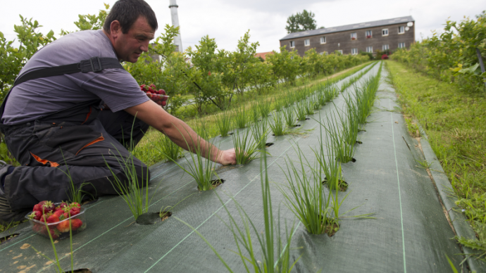 L'agriculture Biologique, Une Filière Dynamique Et Créatrice D'emplois ...