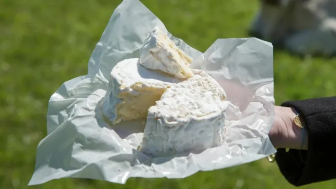 Camembert de Normandie AOP. Voir le crédit sous l'image.