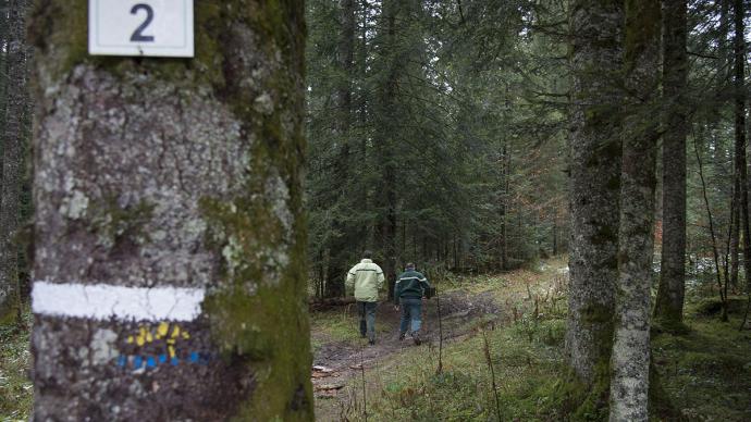 Deux gardes forestiers marchant dans une forêt