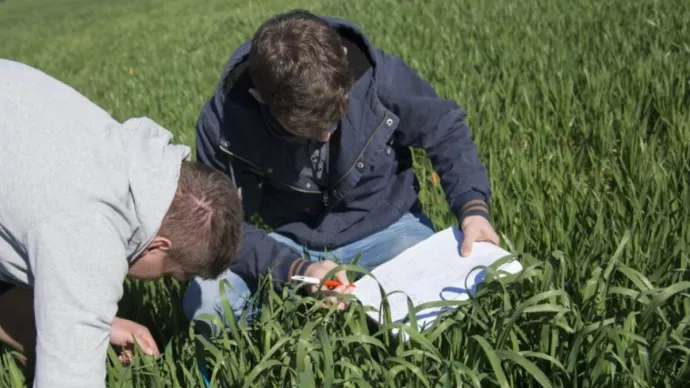 Élève de l'enseignement agricole