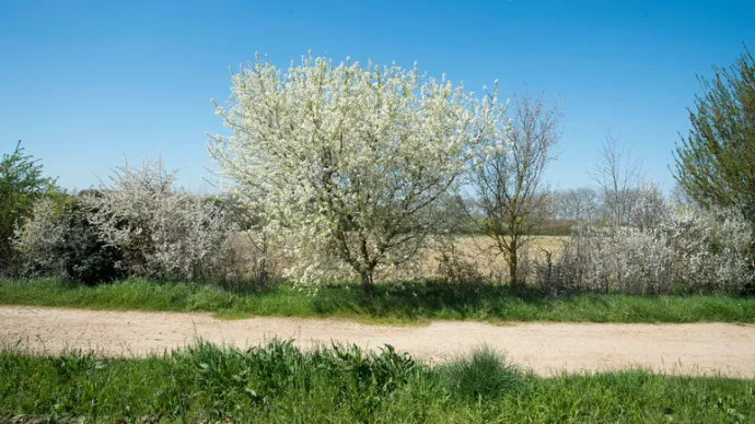 Crédit ci-après