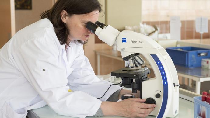 Femme observant à travers un microscope