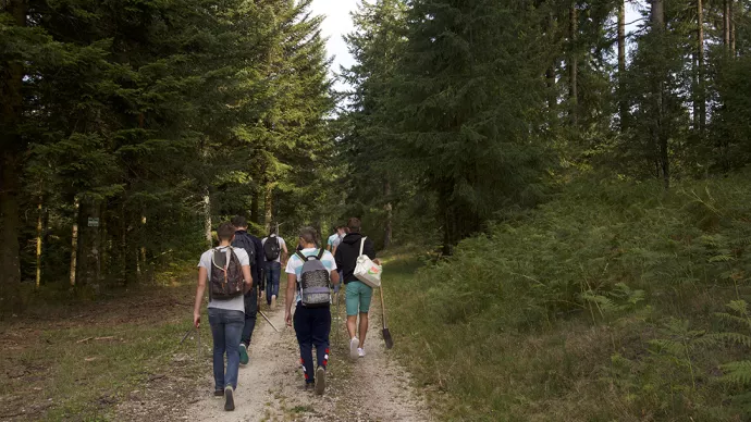 élèves dans une forêt