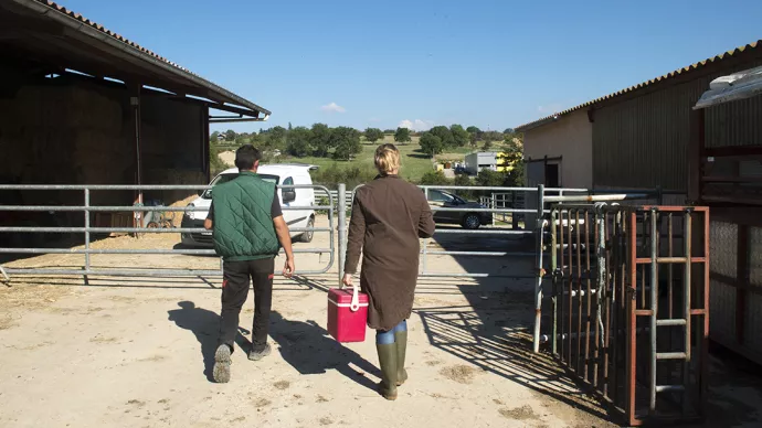 Un agriculteur et une vétérinaire dans une exploitation agricole