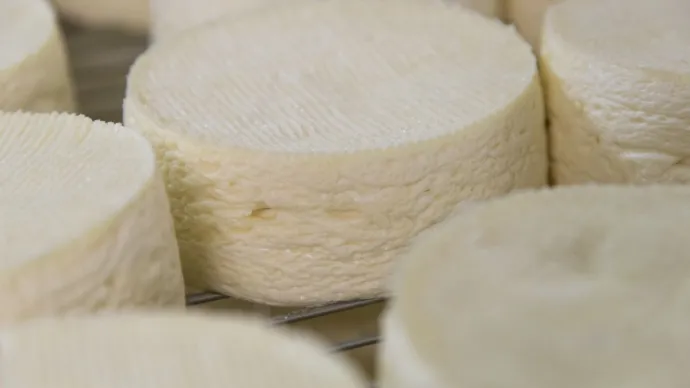 Brillat-Savarin IGP. Voir le crédit sous l'image.