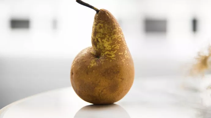 Une poire avec un " petit nombril "