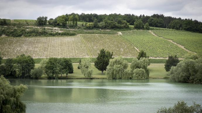 vignoble bourguignon près d'un cours d'eau
