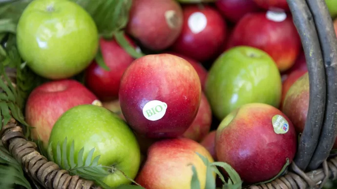 Un panier de pommes bio