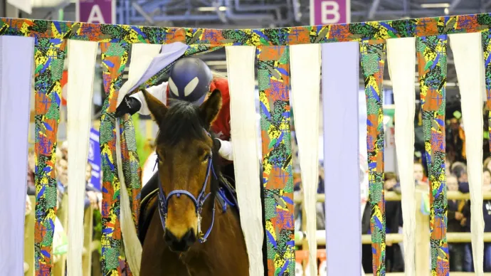 Jeune montant un cheval lors d'un concours d'équitation