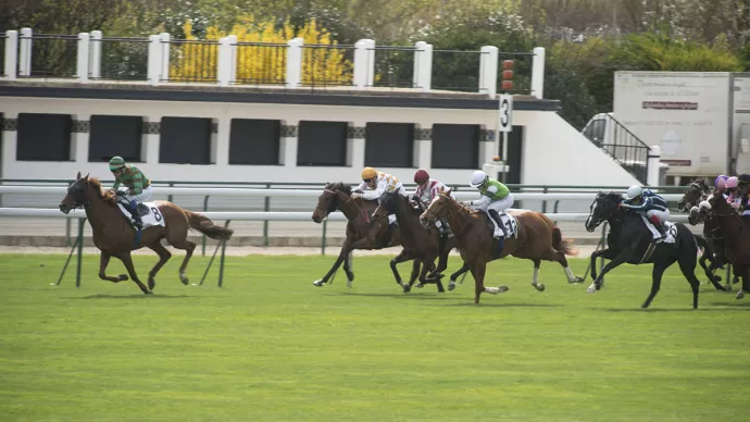 Course hippique