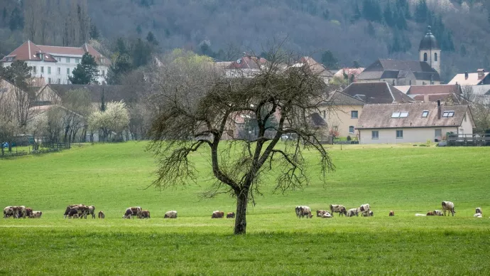 Crédit ci-après