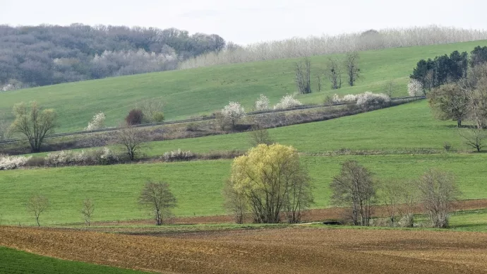 crédit ci-après