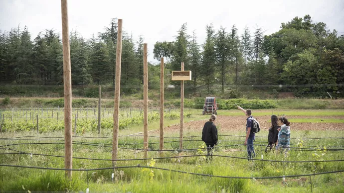 Élèves de l'enseignement agricole dans un champ