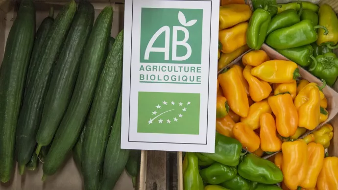 Poivrons et concombres issus de l'agriculture biologique AB