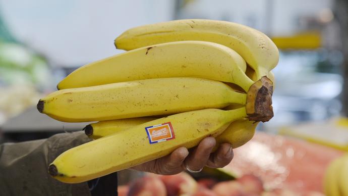La banane de Martinique  Ministère de l'Agriculture et de la
