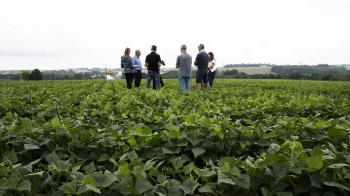 Réunion de terrain dans un champ entre agriculteurs