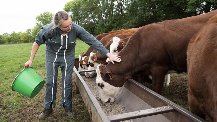 une agricultrice carressant une vache 