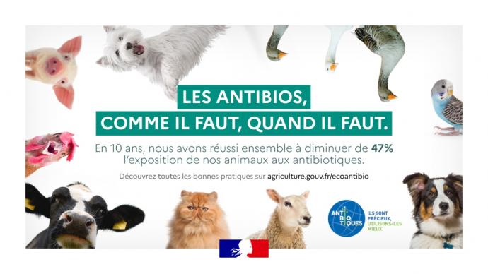 Bannière de la campagne "Ecoantibio" avec des animaux d'élevage et de compagnie