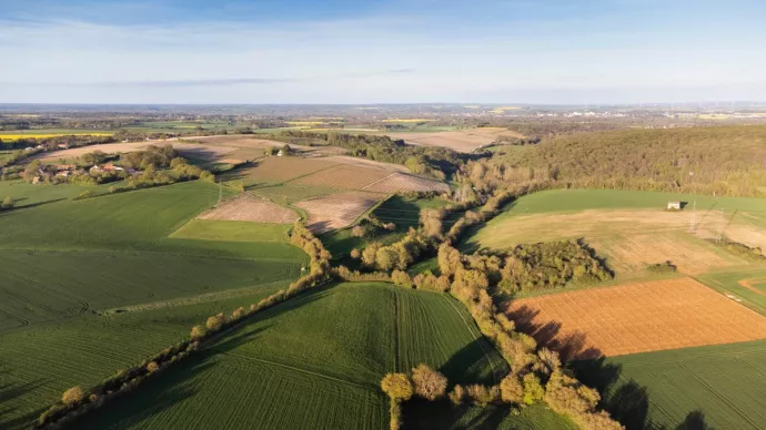Paysage agricole