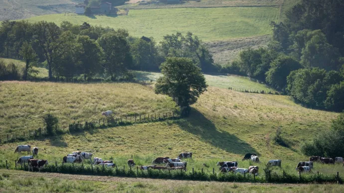 Paysage agricole avec des haies