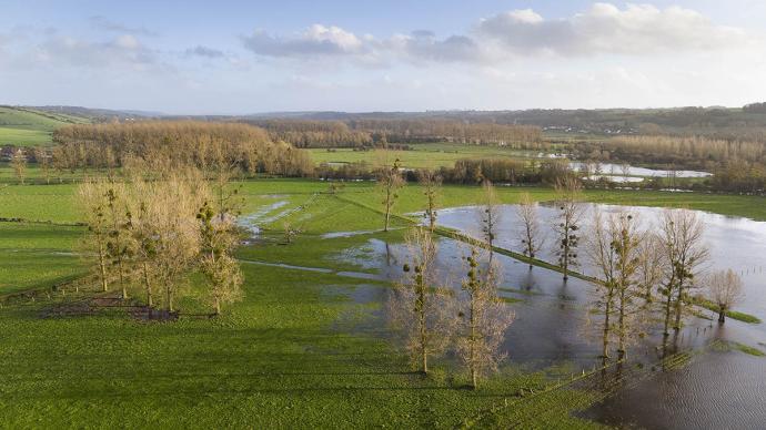 Des prairies inondées dans le Pas-de-Calais en novembre 2023.